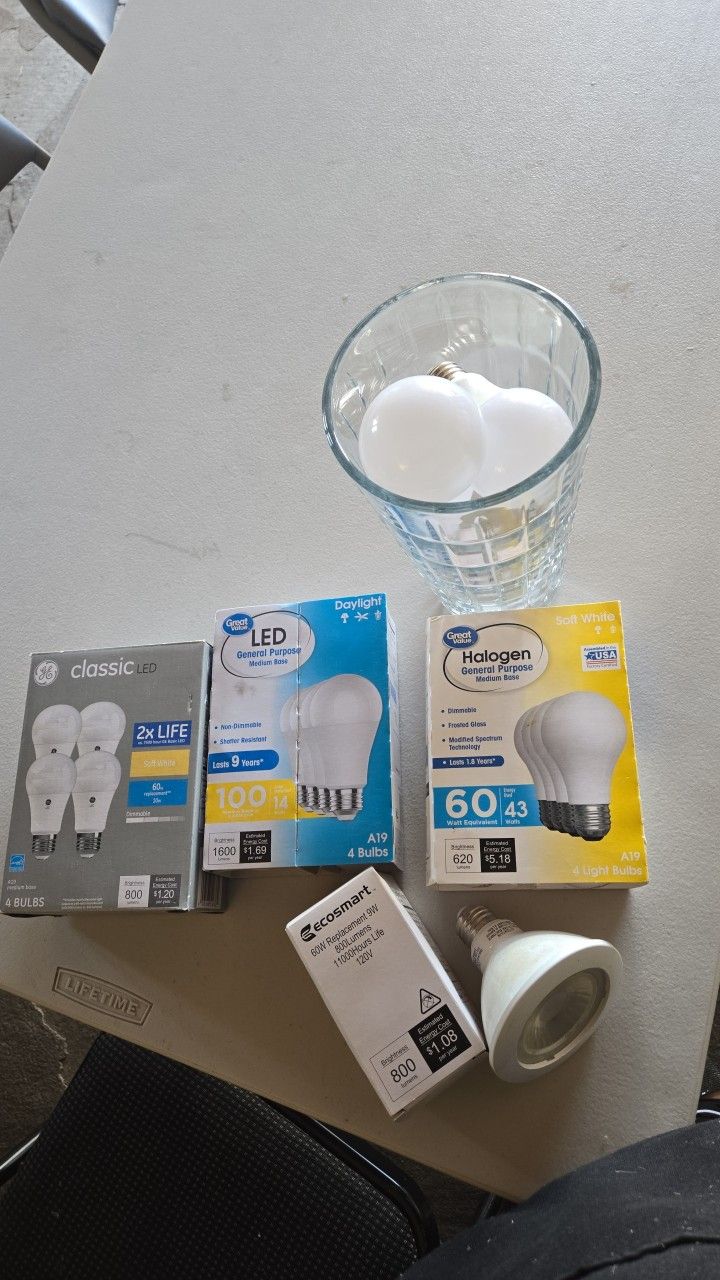 Light Bulbs