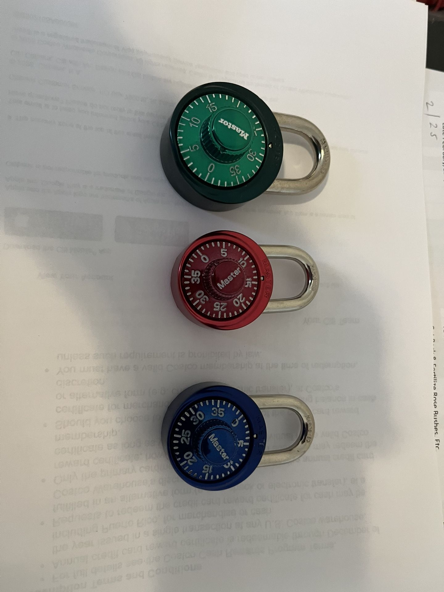 Master Lock Padlocks
