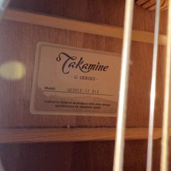 Takamine G Series 12 String Guitar