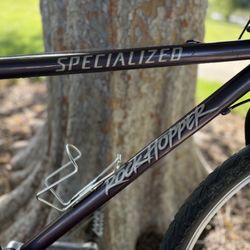 1995 Specialized Rockhopper