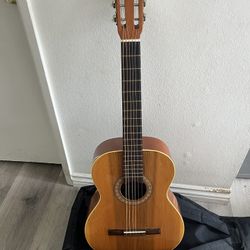 Acoustic Guitar 