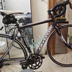 CANNONDALE SYNAPSE  ULTRA SAVE