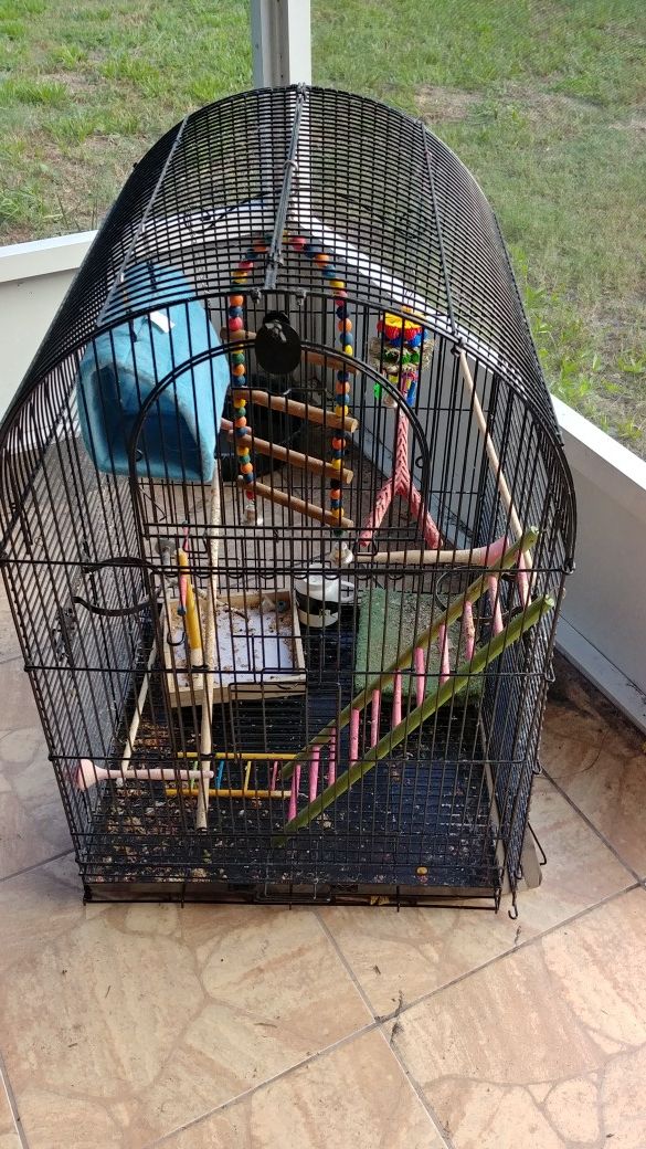 Bird cage 33X23x23. Comes with accessories shown