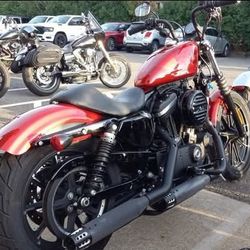 Harley Davidson 2019 Sportster 883