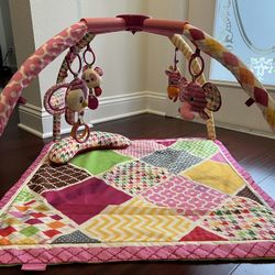 Infantino See Play Go Sweet Safari Twist And Fold Activity Gym And Play Mat