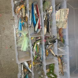 Fish Lure