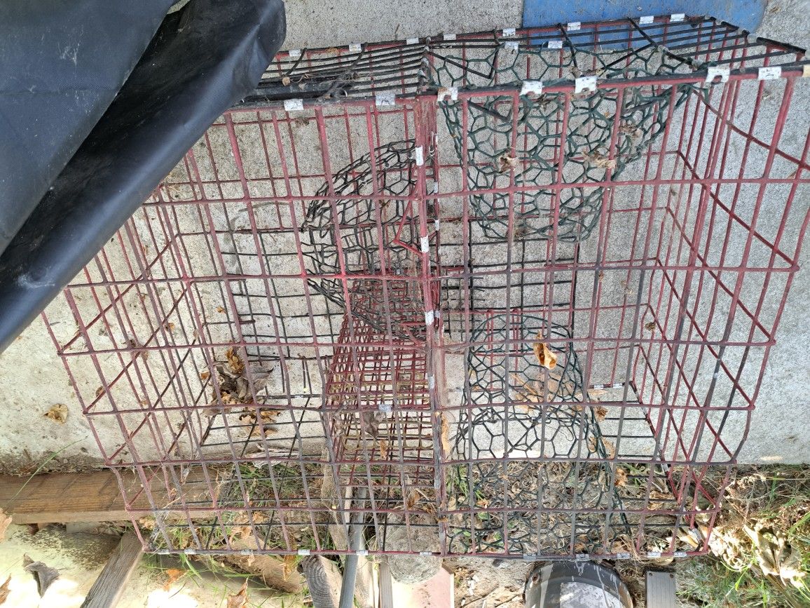 Lobster Trap
