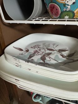 Plates/bowl