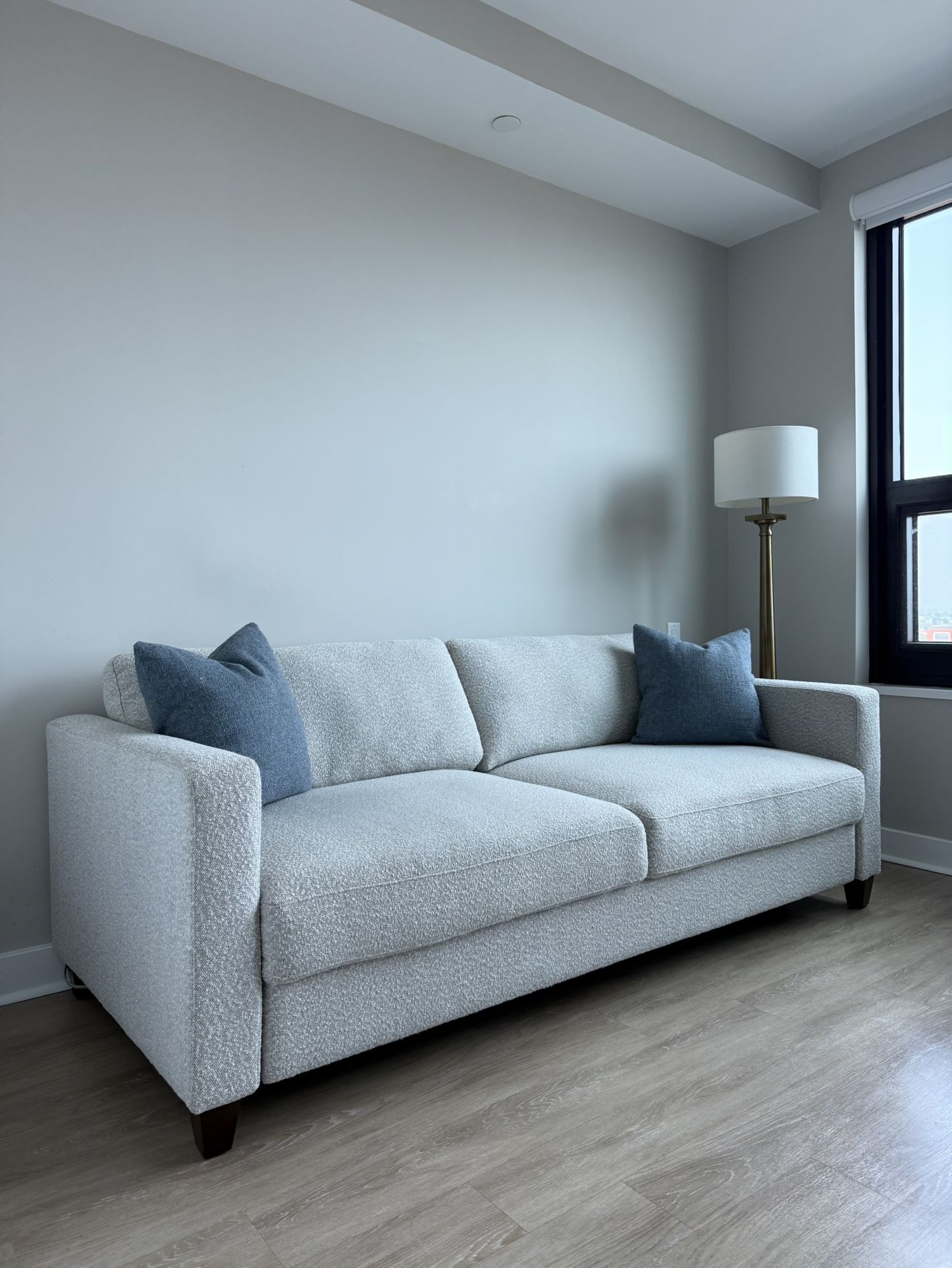 Like New Sleeper Sofa