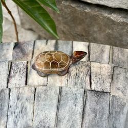 Natural Stone Turtle