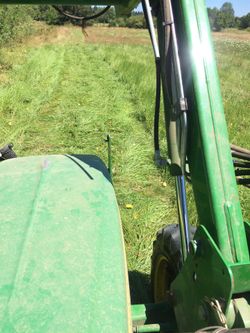 Looking for Hay fields