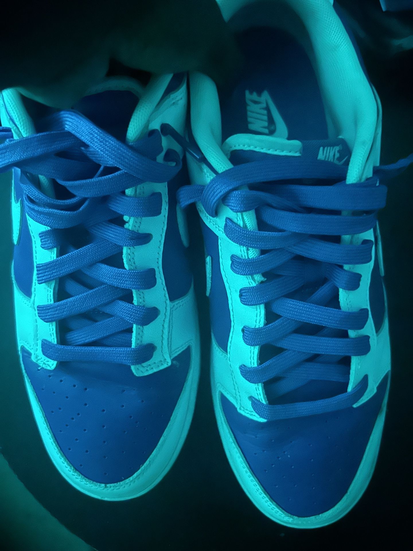 Nike Dunks (Size 11)