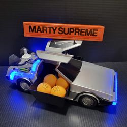 *Happy Holidays Sale* Marty Supreme DeLorean 
