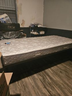 FREE Bed
