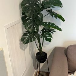 Fake Fiddle Leaf Plant 