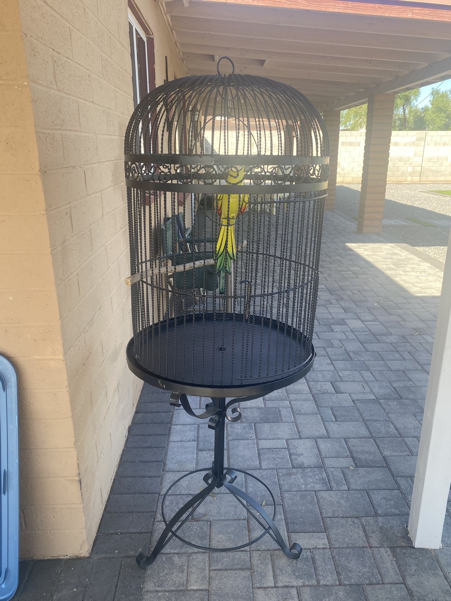 Bird Cage 