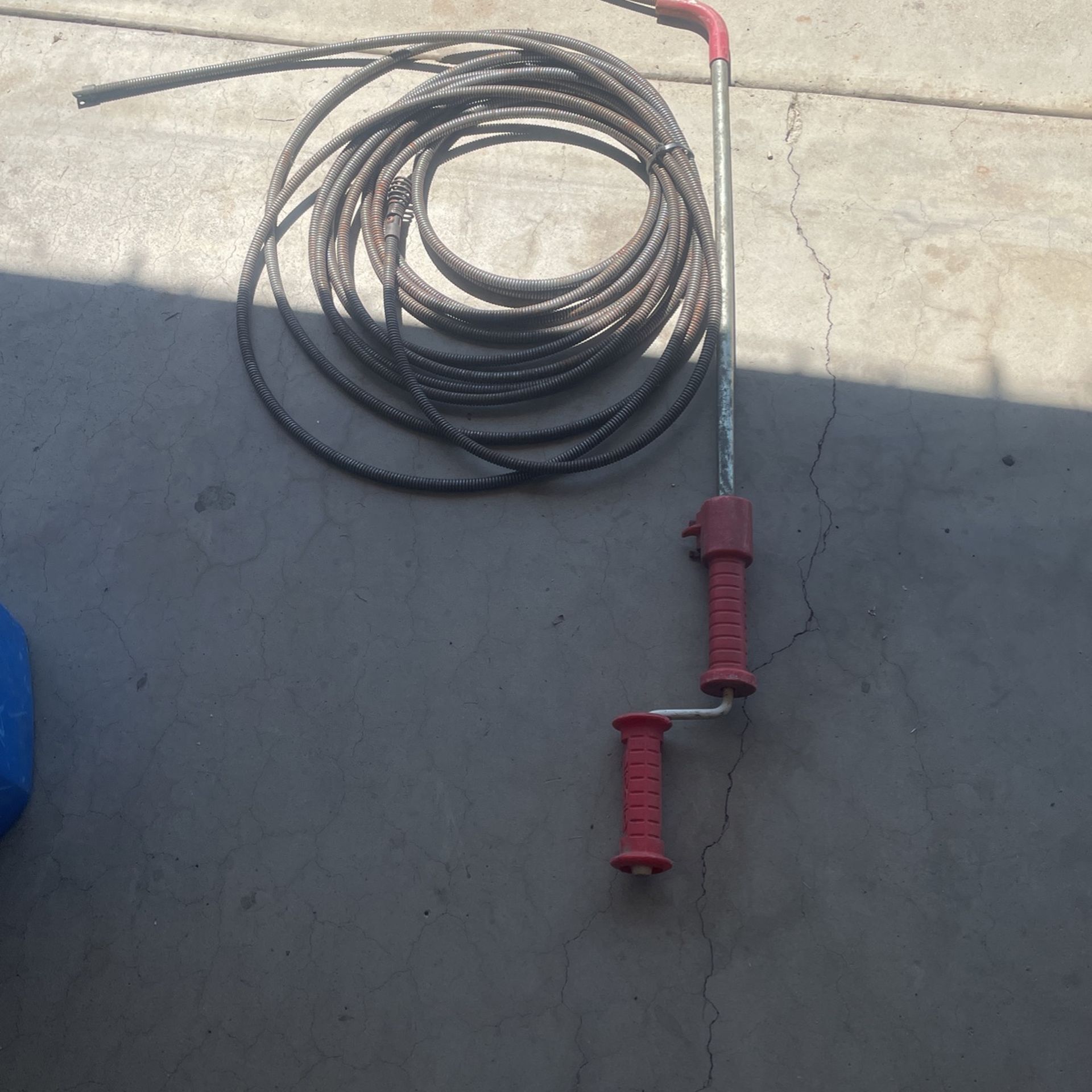 40 FT Snake!