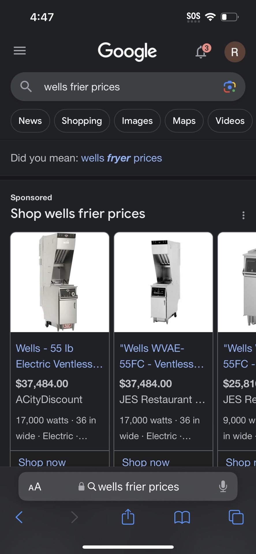 Wells fryer