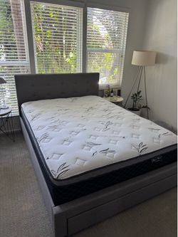 Queen bed and mattress