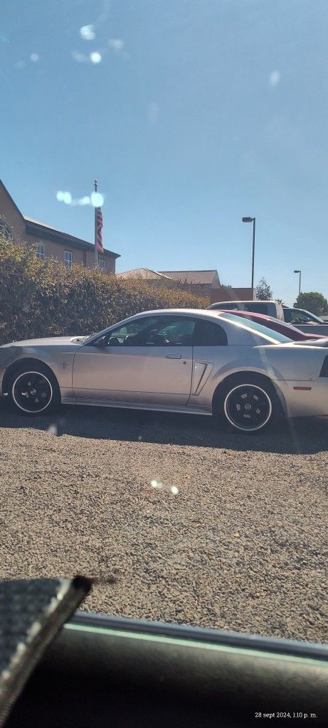 2000 Ford Mustang