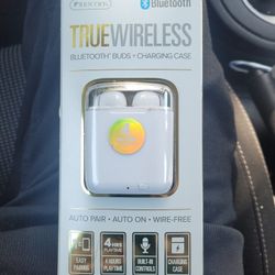 True Wireless Earbuds 