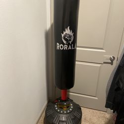 Punching Bag