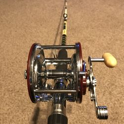 Vintage Penn peer#309 & Shakespeare sturdy stick combo