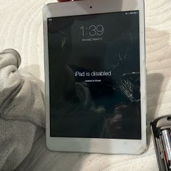 iPad Mini 