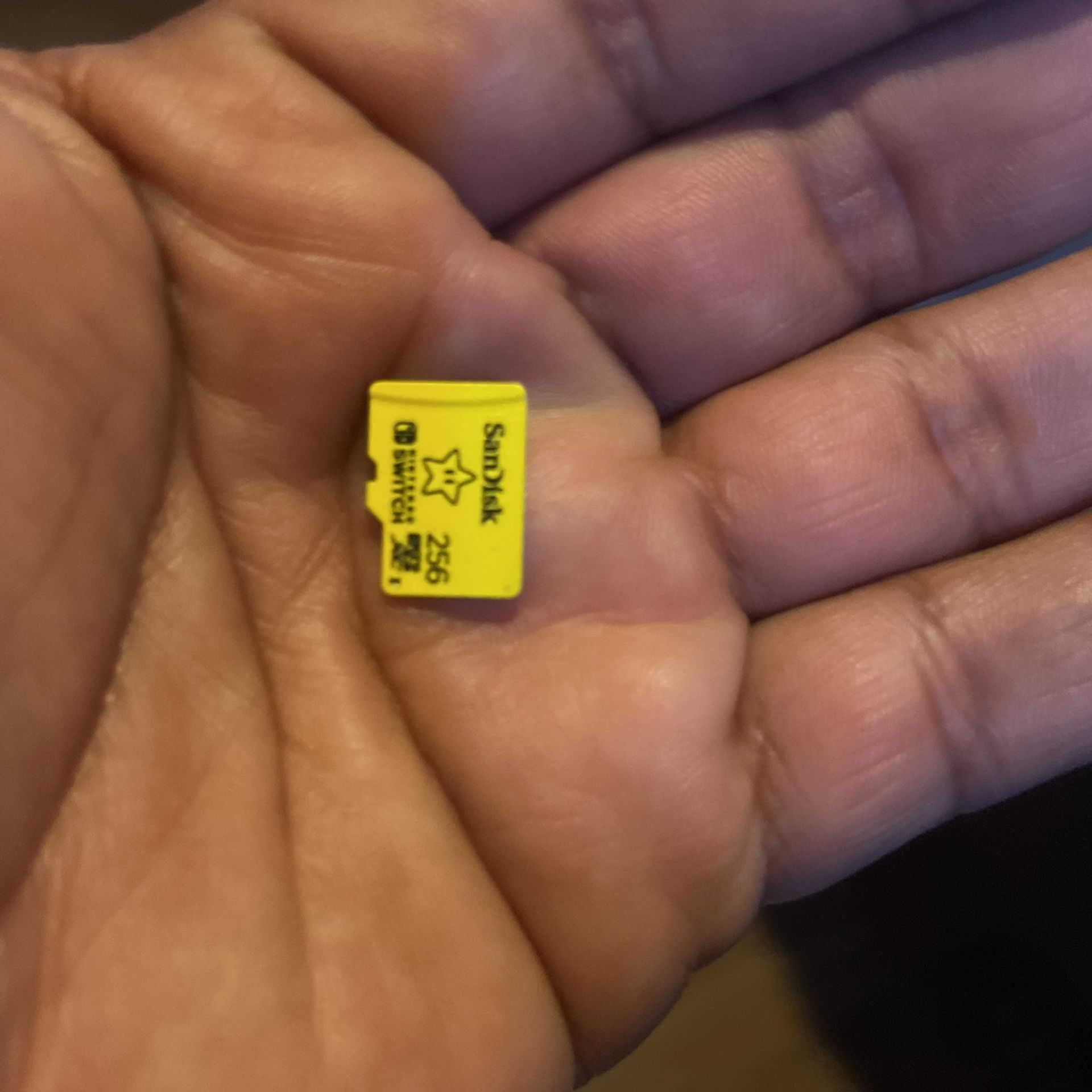 memory card. nintendo switch