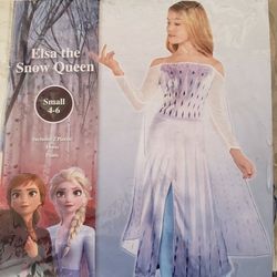 Elsa Costume