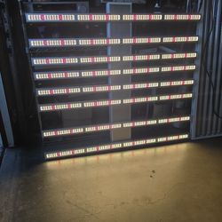 Spider 1500w grow lights