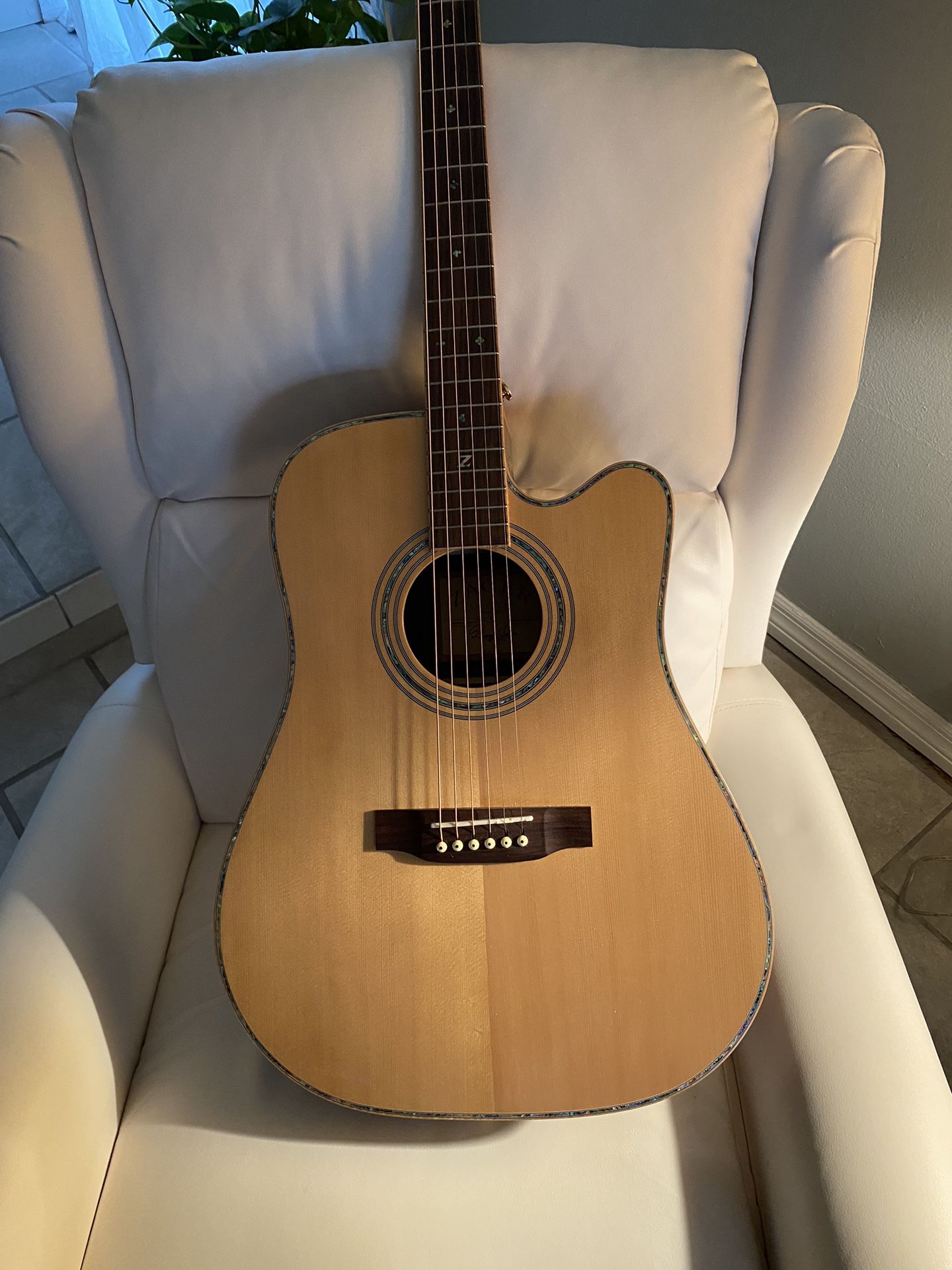 Zager 900CE Acoustic Electric 