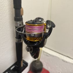 Brand New Diawa Surf Fishing Rod