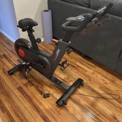 Tryden Exercise Bike
