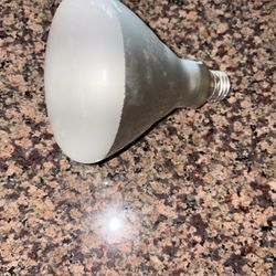 BR 40 LED Bulbs