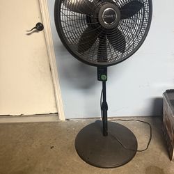 Fan