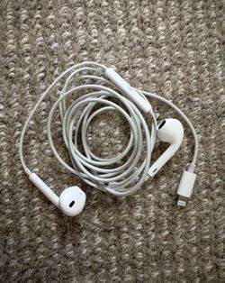 Apple EarPods for iPhone 14