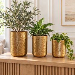 New Beautiful Gold Metal Planter Set