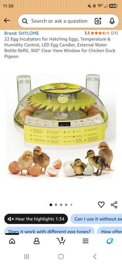22 Egg Incubators for Hatching Eggs