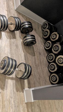 5-100 Hampton pro style dumbbells