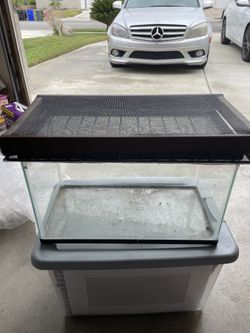 Fish Aquarium