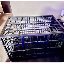 Xxl Dog Cage/ Crate / Top Opens Don’t know The Measurements My Belgian Malanois Was Comfy In It