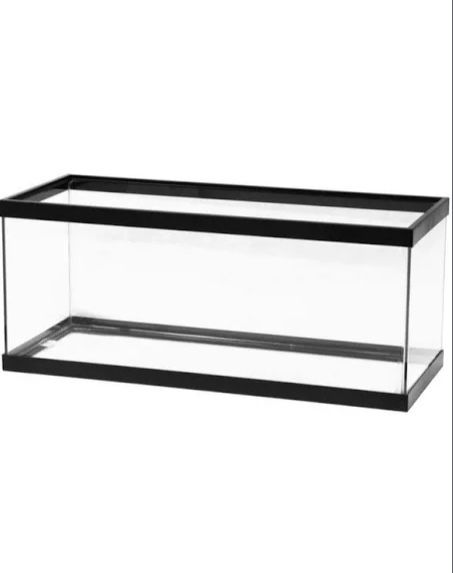 It’s A 20 Gallon Fish Tank