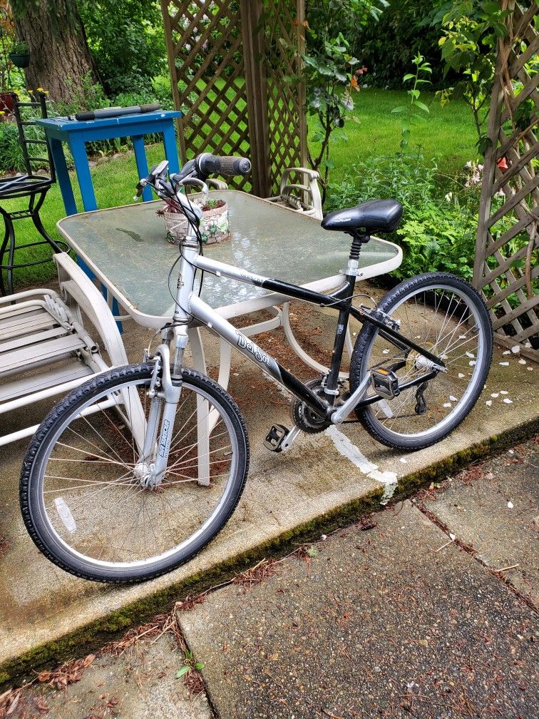 Del Sol Comfort Bike