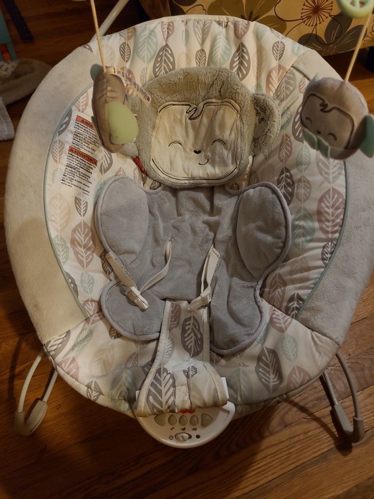 Fisher Price Baby Bouncer