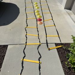 Athletic Training Equipment; Vertical Ladder and 8 Mini-Cones