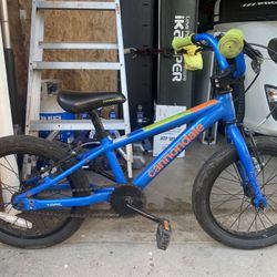 Cannondale Kids Bike