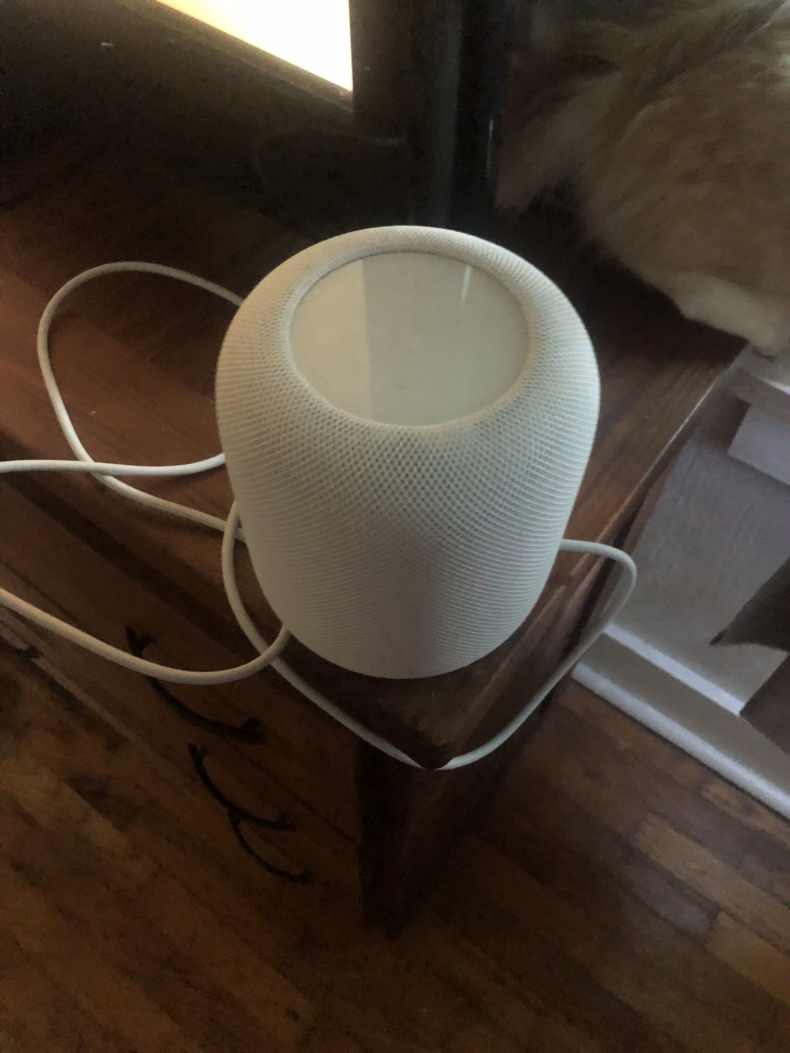 Brand New Apple Homepod
