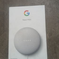 Google Nest Mini