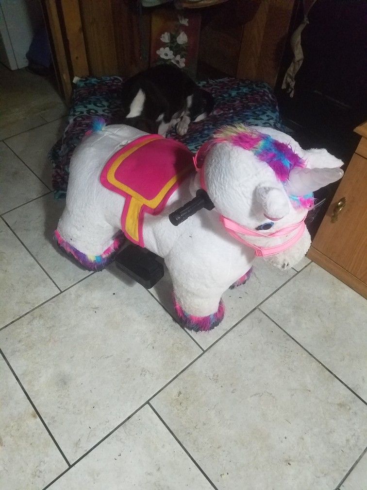Rocking horse Power Wheel And Comforter